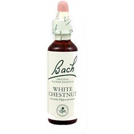 Flores De Bach Bach 35 White Chestnut 20 Ml (Castaño Blanco )