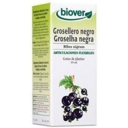 Biover Ribes Nigrum 50 Ml Grosellero Negro
