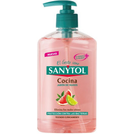 Sanytol Antibacterias Jabón Manos Cocina Dosificador 250 Ml Unisex